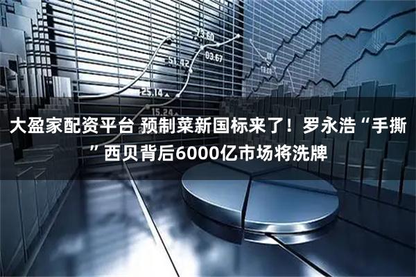 大盈家配资平台 预制菜新国标来了！罗永浩“手撕”西贝背后6000亿市场将洗牌