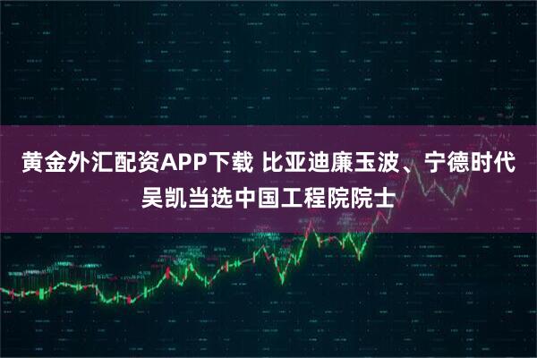黄金外汇配资APP下载 比亚迪廉玉波、宁德时代吴凯当选中国工程院院士