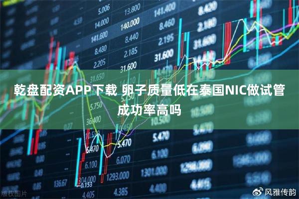 乾盘配资APP下载 卵子质量低在泰国NIC做试管成功率高吗